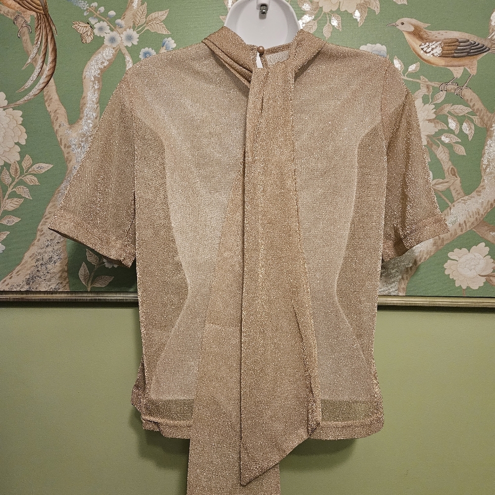 Semi Sheer Blush Gold Pullover Top Small